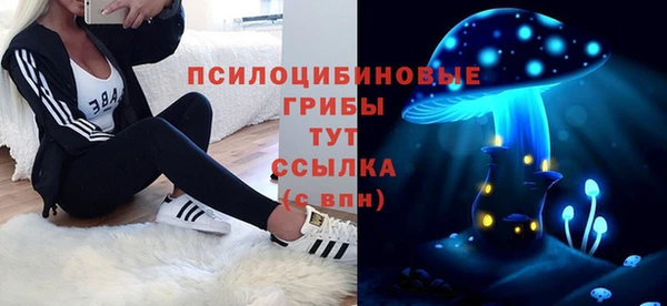 гидропоника Алзамай