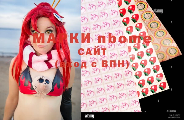 гидропоника Алзамай