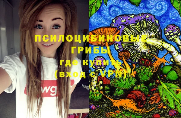 гидропоника Алзамай